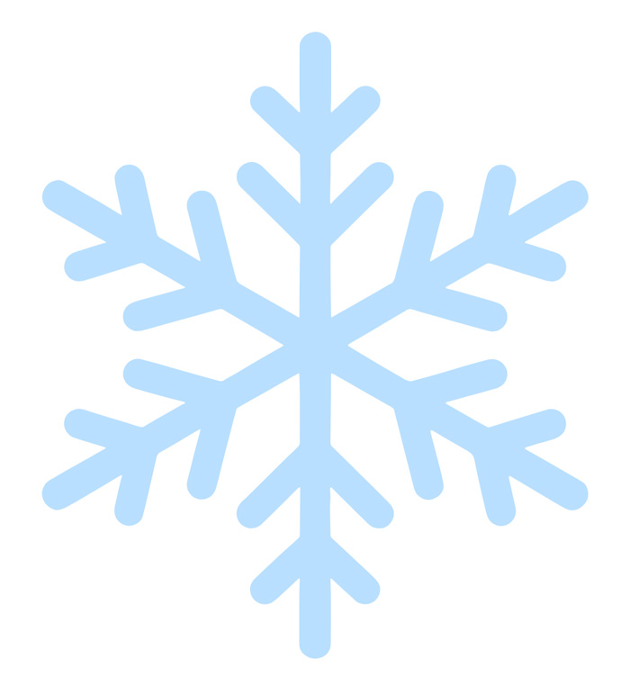 Bücher Shop Muschter Schneeflocke